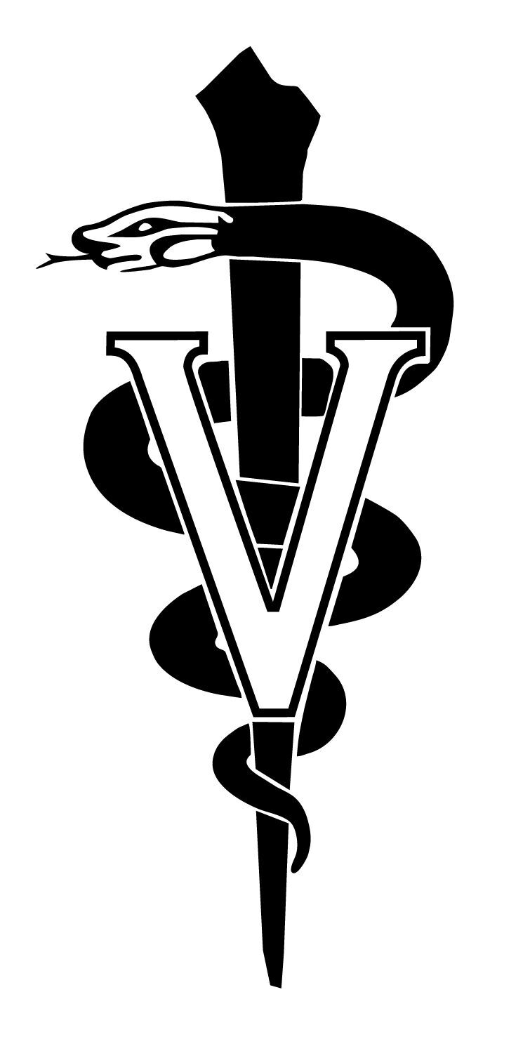 Vet's Voice